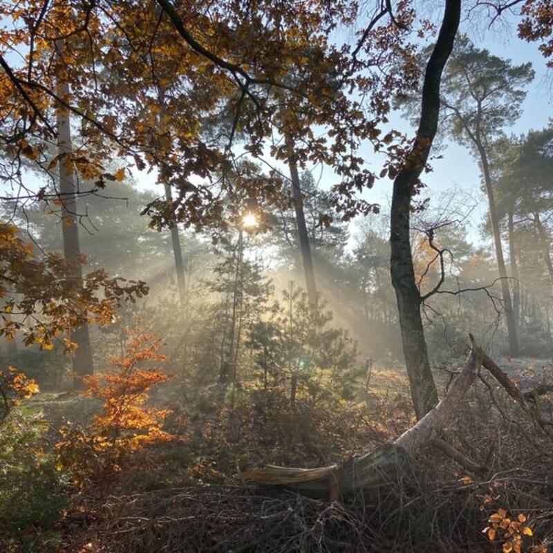 Petitie Meer natuur