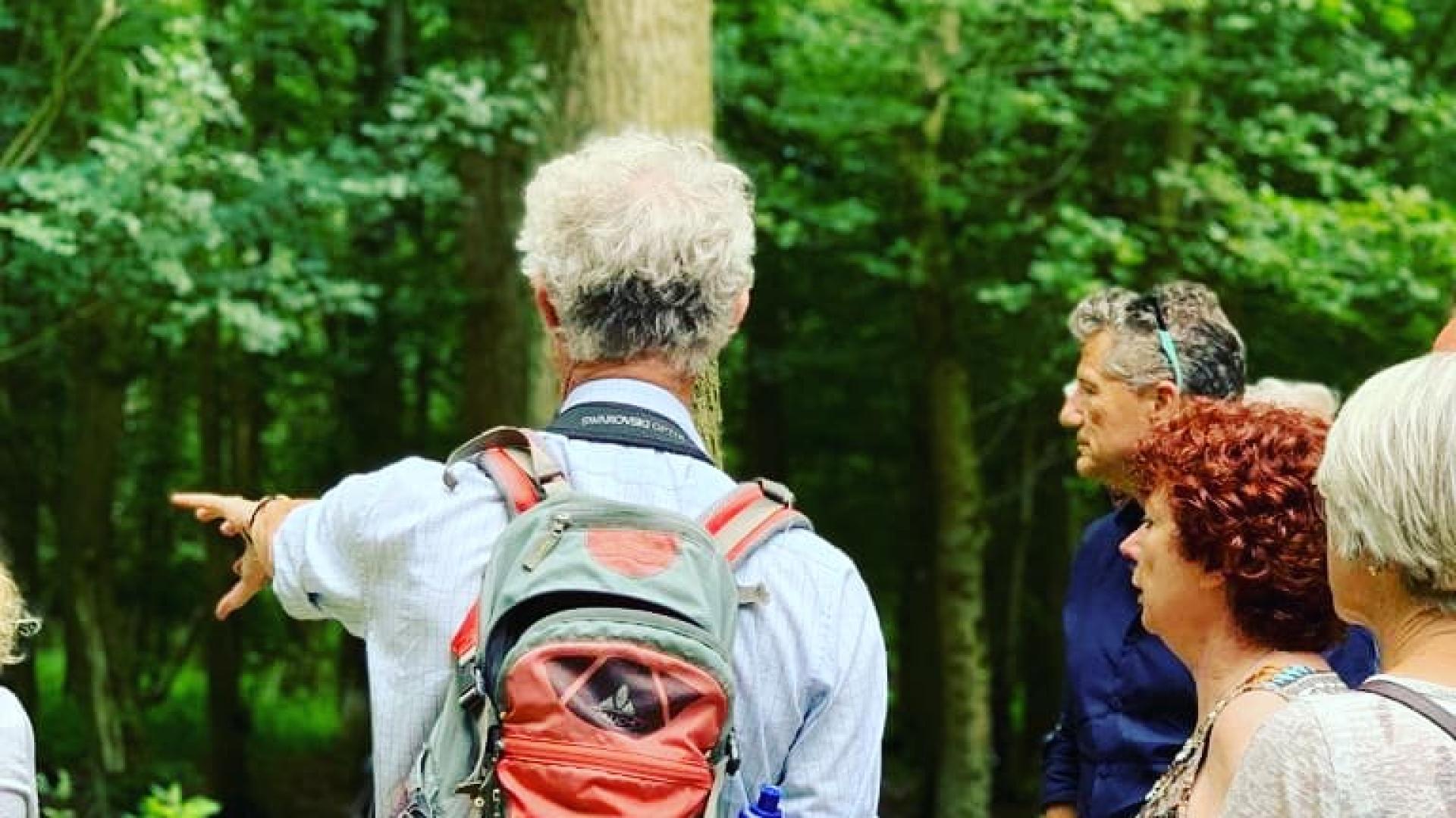 Tour van staatsbosbeheer over de bomenkap 